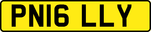 PN16LLY