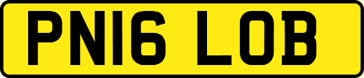 PN16LOB