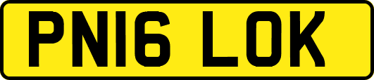 PN16LOK