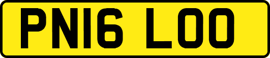 PN16LOO