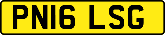 PN16LSG