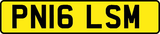 PN16LSM