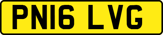 PN16LVG