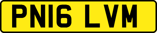 PN16LVM