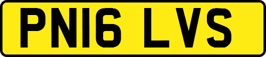 PN16LVS
