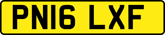 PN16LXF