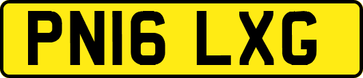 PN16LXG