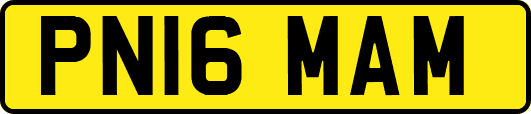 PN16MAM