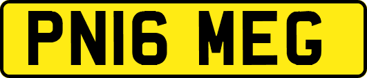 PN16MEG