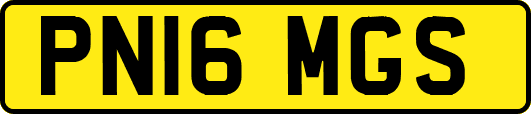 PN16MGS