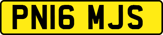 PN16MJS