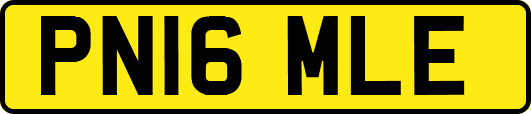 PN16MLE