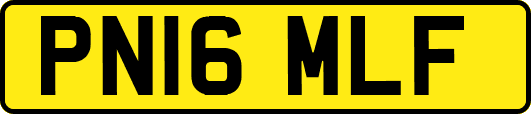 PN16MLF