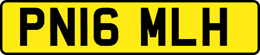 PN16MLH