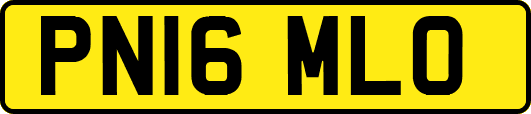 PN16MLO