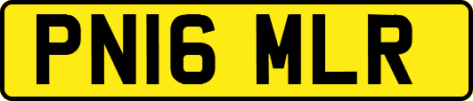 PN16MLR