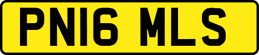 PN16MLS