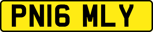 PN16MLY