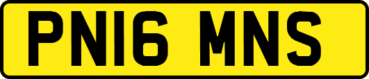 PN16MNS