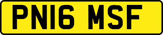 PN16MSF