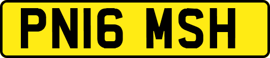 PN16MSH