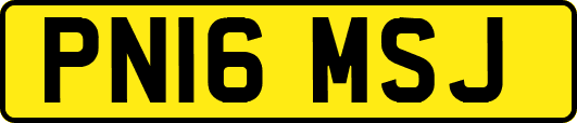 PN16MSJ