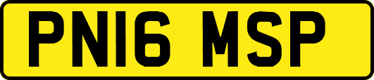 PN16MSP