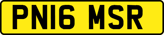 PN16MSR