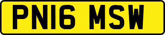 PN16MSW