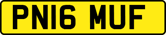 PN16MUF