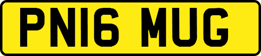 PN16MUG