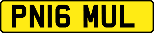PN16MUL