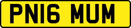 PN16MUM