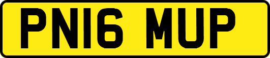 PN16MUP