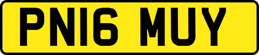 PN16MUY