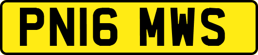 PN16MWS