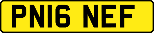 PN16NEF