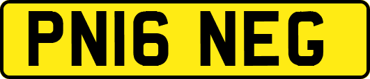 PN16NEG