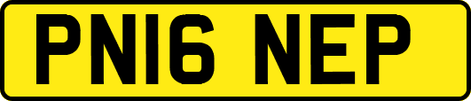 PN16NEP