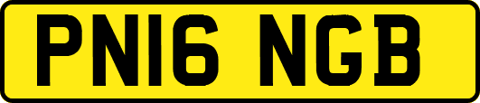 PN16NGB