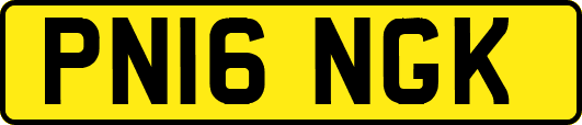 PN16NGK