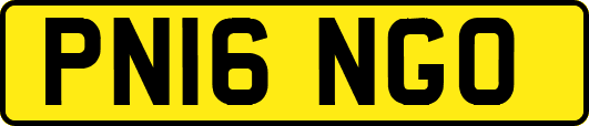 PN16NGO