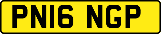 PN16NGP