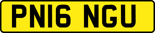 PN16NGU