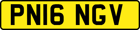 PN16NGV
