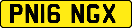 PN16NGX