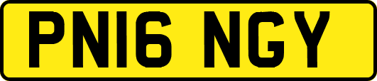 PN16NGY