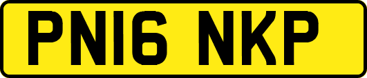 PN16NKP