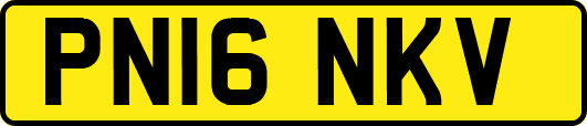 PN16NKV