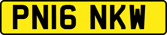 PN16NKW